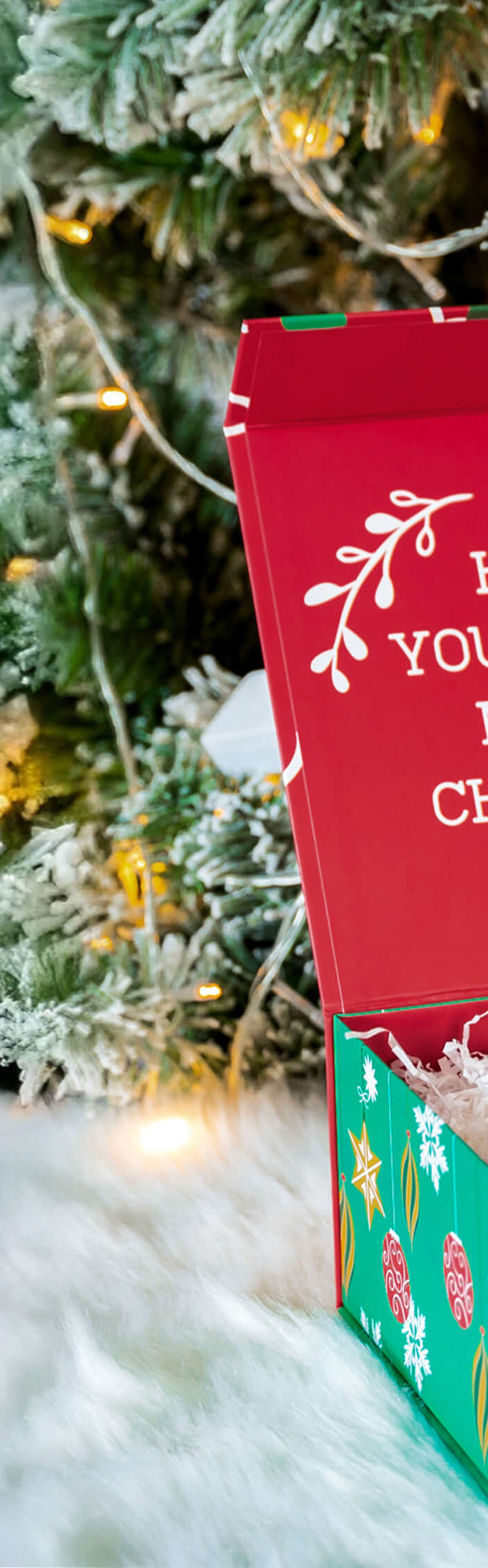 <h1><em></em><em>Holiday Gift Boxes</em></h1>