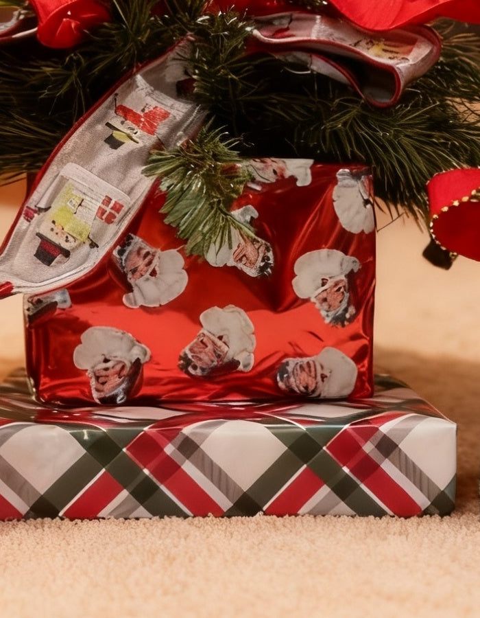 <h1><em></em><em>Wrapping Paper Bundle</em></h1>