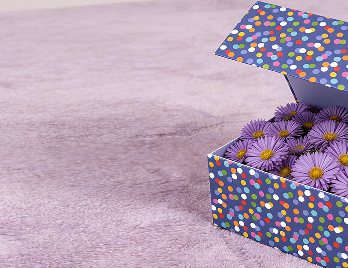 <h1><em>﻿</em><em>Gift Boxes</em></h1>