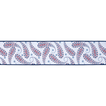 4-inch wired ribbon featuring blue paisley pattern on white base with blue backing