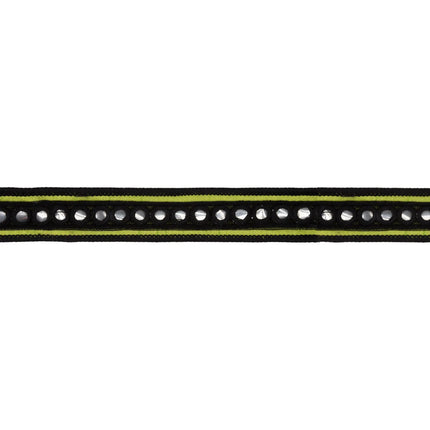 Bohemian-style dupioni ribbon, striking green fabric finished with sparkling silver circle trim detailing